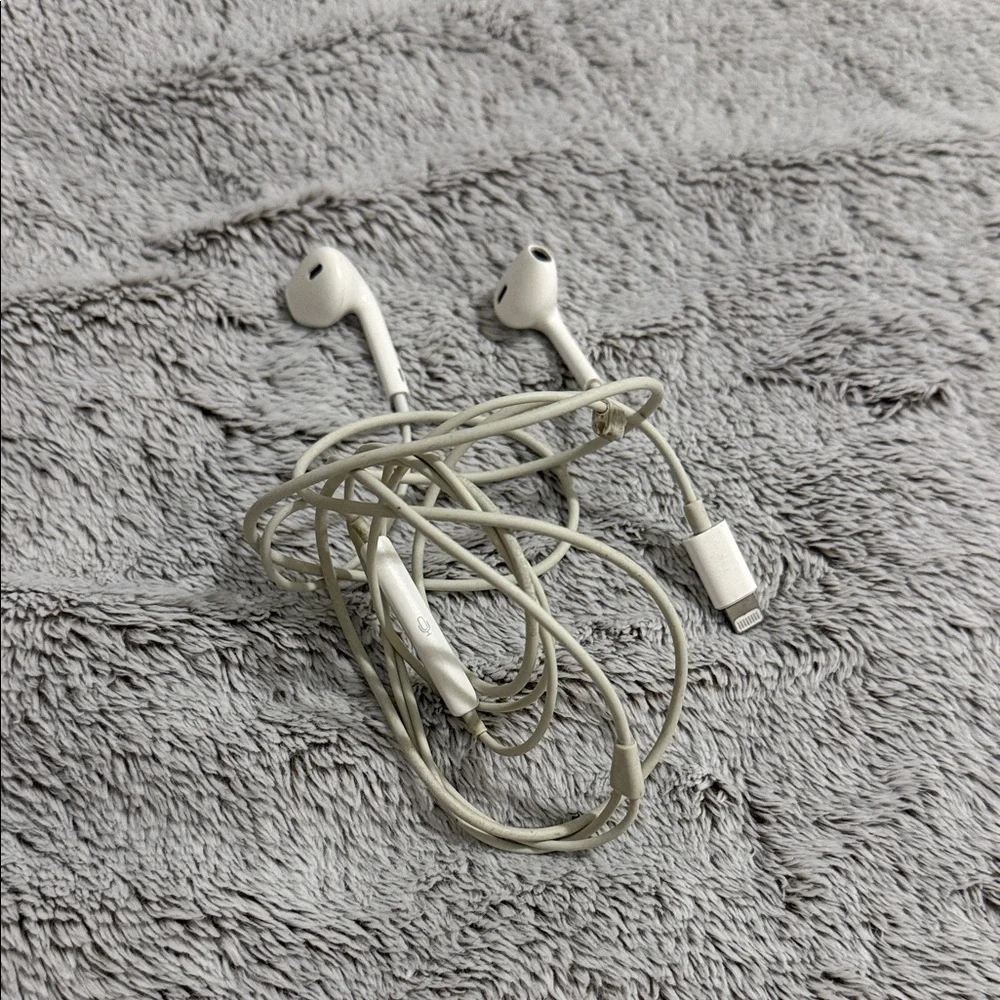 Earbuds & Lightning charger cable